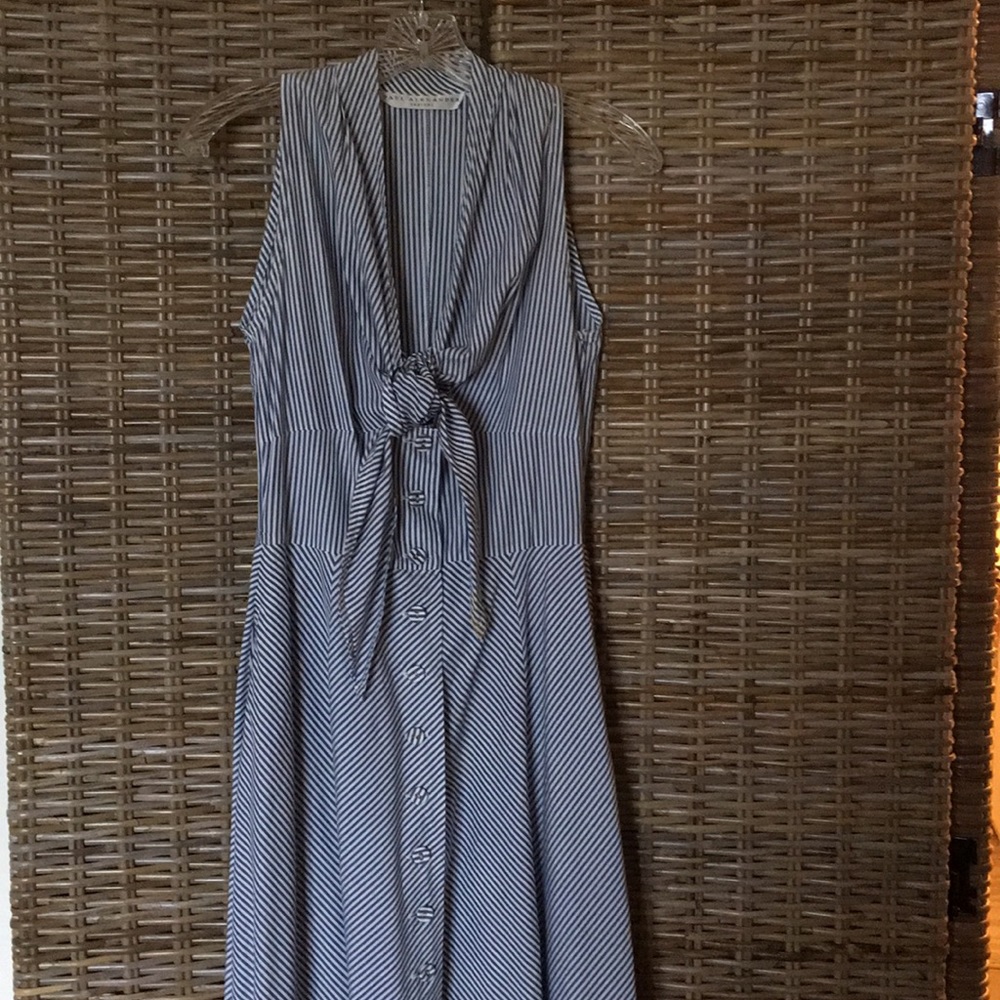 Blue and white sundress